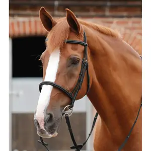 Briglia Premier Equine Mossimo image-1