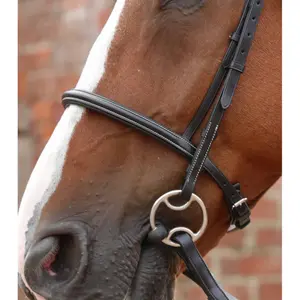 Briglia Premier Equine Mossimo image-2