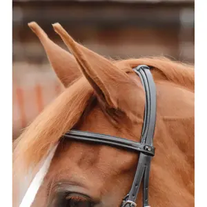 Briglia Premier Equine Mossimo image-3