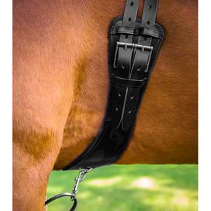 product/p/r/premier-equine_8023-20_black_3.jpg