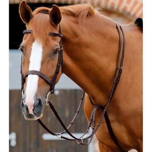 product/p/r/premier-equine_8027-cbrw_1.jpg