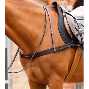 product/p/r/premier-equine_8036-brw_dark-brown_5.jpg