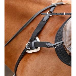 product/p/r/premier-equine_8037-cblk_2.jpg