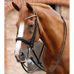 product/p/r/premier-equine_8038_1.jpg