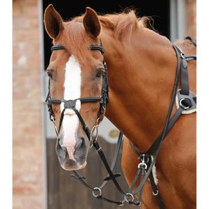Horse Reins Premier Equine Stay-Up image-3
