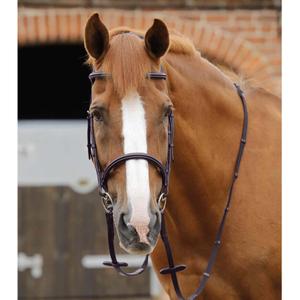 Horse Reins Premier Equine Caloveto image-1