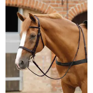 Skórzane lejce z uchwytem Premier Equine Salvatore image-1