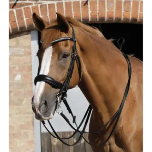 Rênes pour cheval cuir uni Premier Equine Luigi image-1