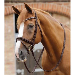 Horse Reins Premier Equine Pietro image-1