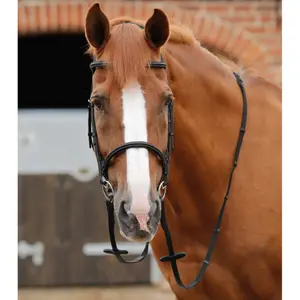 Σχοινιά για άλογο Premier Equine Altare Web image-1