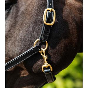 Leather padded horse halter Premier Equine image-2