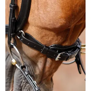 Cabeçada anatómica Premier Equine Lambro image-1