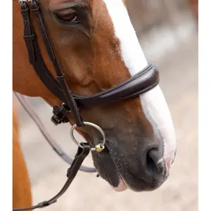 Bridon anatomique Premier Equine Lambro image-2