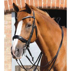 Resguardos para cavalos em couro liso Premier Equine Senado image-3