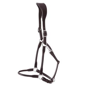 8120cbrw-anatomical-horse-halter-rolled-in-leather-premier-equine-hennaroso-brown
