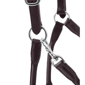 Anatomical horse halter rolled in leather Premier Equine Hennaroso image-3