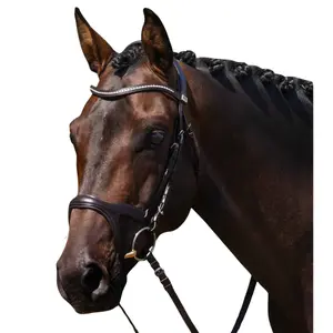 8127cbrw-ridhuvud-premier-equine-san-paolo-brun