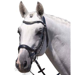 8128cblk-bride-equitation-premier-equine-palazzo-black