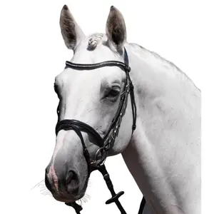 8138cblk-reittrense-premier-equine-rivere-schwarz