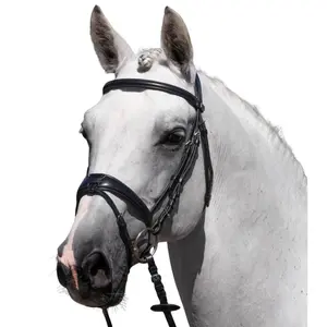 Reittrense Premier Equine Artana image-0