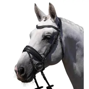 Bride équitation Premier Equine Veneto image-0