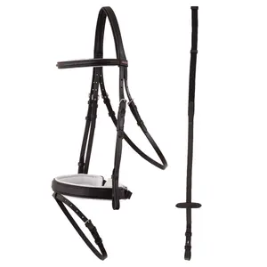 Bridons équitation anatomique Premiere Toulon image-0