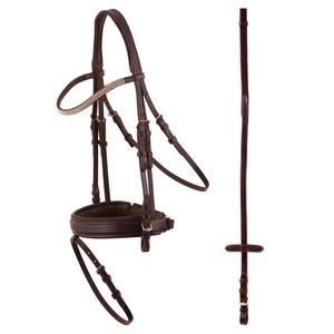 180103-n027-bridons-equitation-anatomique-premiere-dijon-brun