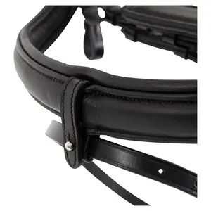 Cabezada combinada con muserola Premiere Montaubon image-1