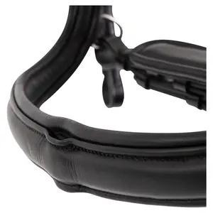 Cabezada combinada con muserola Premiere Montaubon image-2