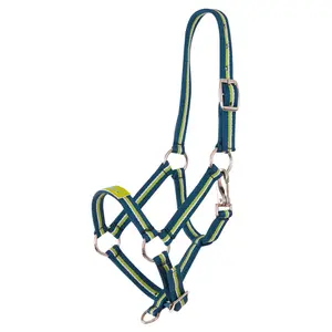 432118-l124-cavezza-per-puledro-premiere-equitation-fun-benzina-bl-skybl