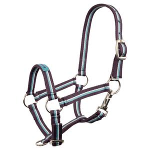 432118-p030-cavezza-per-puledro-premiere-equitation-fun-viola