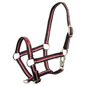 Cabresto para potros Premiere Equitation Fun image-0