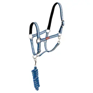Halter and lead rope set for horse Premiere Equitation Stitch image-0