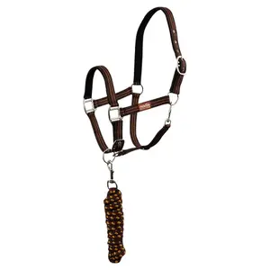 Set di capestro e longe per cavallo con moschettone Premiere image-0