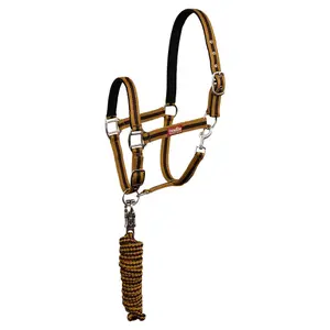 Set di testiera e longhina per cavallo con moschettone anti-panico Premiere image-0