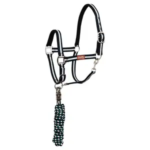 Set di testiera e longhina per cavallo con moschettone anti-panico Premiere image-0