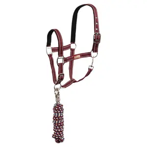 Conjunto de cabeçada e linha com mosquetão anti-pânico para cavalo Premiere image-0