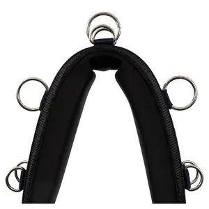 Longiergurt für Pferde Premiere image-1