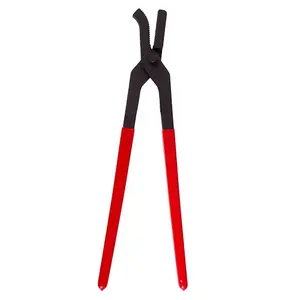 Riding clip Premiere image-0