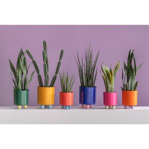 Blomsterkrukke Present Time Funky image-2