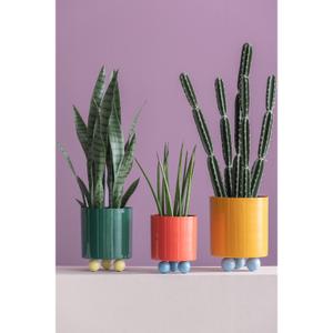 Blomsterkrukke Present Time Funky image-3