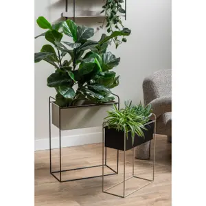 Plant Pot Present Time Reina image-2