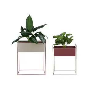 Plant Pot Present Time Reina image-2