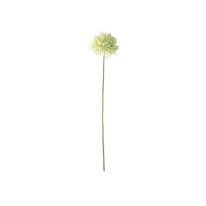 product-sibling