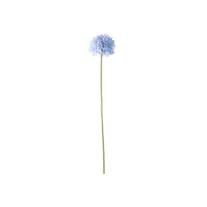 product-sibling
