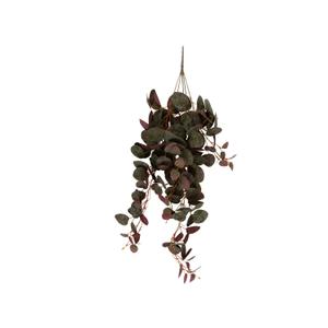 pt3899-konstgjord-hangande-vaxt-present-time-ceropegia-gron-20-3x78-7-cm