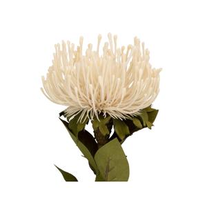pt3905wh-konstgjord-vaxt-present-time-protea-flower-large-vit-12-01x73-1-cm