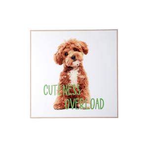 pt4185-vaggdekoration-present-time-puppy-cuteness-overload-mangfargad-40x3-cm