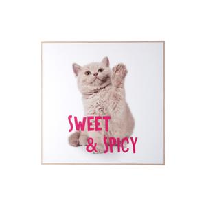 pt4186-vaggdekoration-present-time-kitten-sweet-spicy-mangfargad-40x3-cm