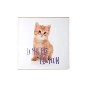 Wall decoration Present Time Kitten Limited Edition image-0
